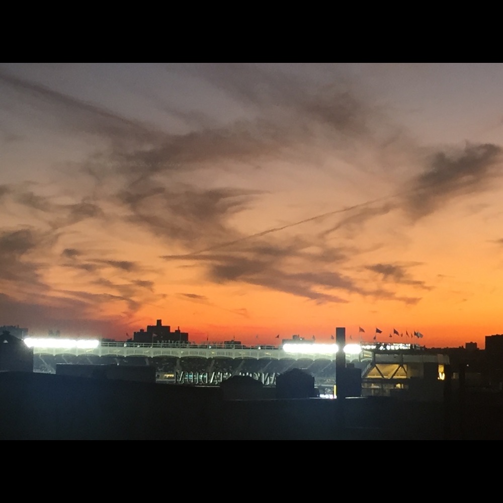 Meet your Posher, Maya